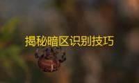 揭秘暗区识别技巧